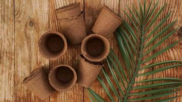Empty peat pots for seedlings on a wooden background photo
