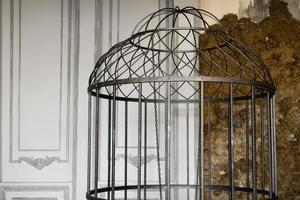 Large vintage cage in room photo