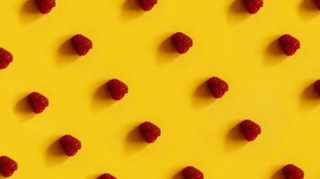 Raspberry rows on a yellow background photo