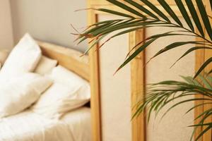 Living space or hotel room in a Scandinavian style. Green plant photo