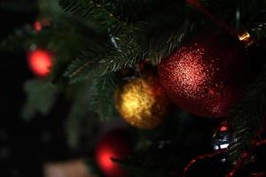Bola roja navideña brillante colgando de ramas de pino