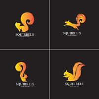 creative squirrel animal logo design icon symbol illustration-vector vector