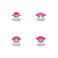 Vector lotus flowers logo illustration design