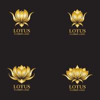 Golden lotus flower logo Vector design template