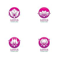 Vector lotus flowers logo design