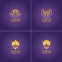 Golden lotus flower logo Vector design template