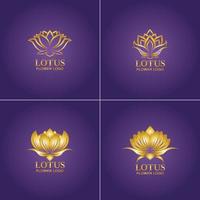plantilla de diseño de vector de logotipo de flor de loto dorado