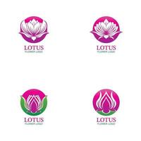 diseño de logotipo de flores de loto de vector