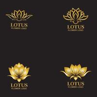 Golden lotus flower logo Vector design template