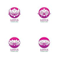 diseño de logotipo de flores de loto de vector