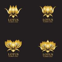 plantilla de diseño de vector de logotipo de flor de loto dorado