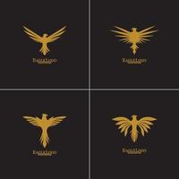 Golden Eagle with Black Background, Vector, Illustration vector