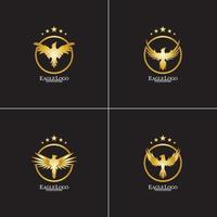 Golden Hawk Vector Art Icons And Graphics For Free Download Golden Hawk Vector Art Icons And Graphics For Free Download