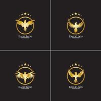 golden eagle with circle logo design vector