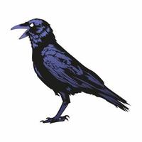 Ilustración de vector de cuervo de ala oscura