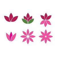 Lotus flowers illustration vector