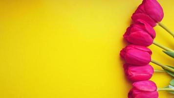 concepto de primavera. tulipanes rosas sobre fondo amarillo. copia espacio foto