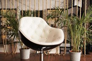 Interior with chair and plant on the background photo