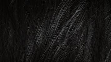 hermoso cabello negro saludable - de cerca foto