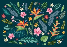 Collection of tropical flowers. A floral set vector