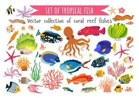 Set of corals fish and seaweed in flat style vector