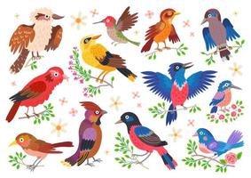 Set of forest birds. Vector cartoon songbirds