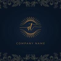 Elegant luxury letter NT logo. vector