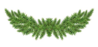 Christmas and New year realistic garland of fir branches.