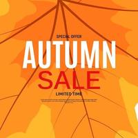 Shiny Autumn Leaves Sale Banner. Business Discount Card. vector