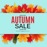 Shiny Autumn Leaves Sale Banner. Business Discount Card. vector