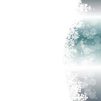 Abstract beauty Christmas and New Year background. vector