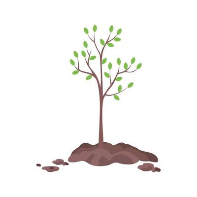 Planting tree in spring semi flat color vector object