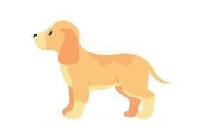 Labrador retriever cachorro adopción carácter vectorial de color semi plano vector