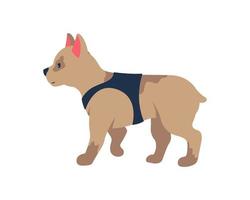 adoptando el carácter de vector de color semi plano de cachorro de bulldog francés