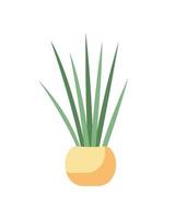 Decorating home with snake plant semi flat color vector object