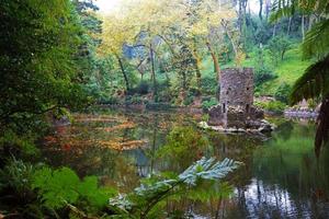 paisaje con bosque de otoño foto