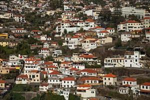 Big cluster of town houses photo