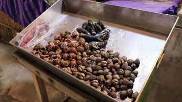 Seafood Clams oysters Thai market street food Bangkok Thailand. video
