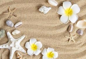 concepto de viaje de verano foto