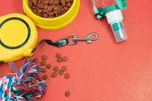 Bowls with food, automatic leash, rope and bottle of water for dog photo