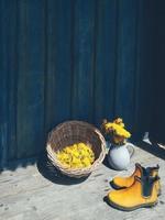 Yellow dandelion flowers in clay jug, heads in wicker bowl, rubber gardening ankle boots on blue wooden veranda background. Still life in rustic style. Daylight, hard shadows. Minimalism, art concept photo