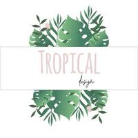 Invitación de boda o banner tropical con monstera y hojas de palmera. vector