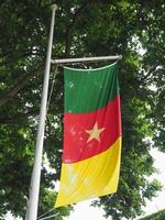 Cameroonian Flag of Cameroon photo