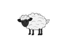 plantilla de diseño de ilustración de dibujado a mano de oveja aislada vector