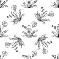 dandelion, seamless b-w vector