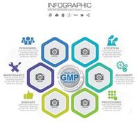 GMP infographic with steps or processes. vector