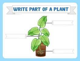escribir partes de una hoja de trabajo de plantas para niños
