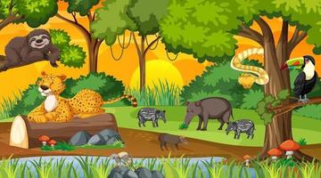 Forest at sunset time landscape scene with different wild animals vector
