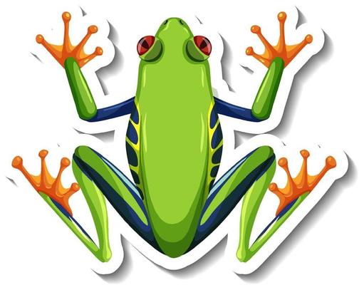 A sticker template with top view of green frog isolated