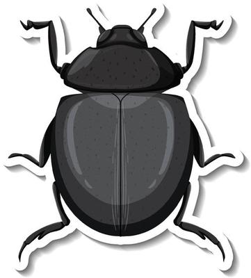 A sticker template with top view of a beetle isolated